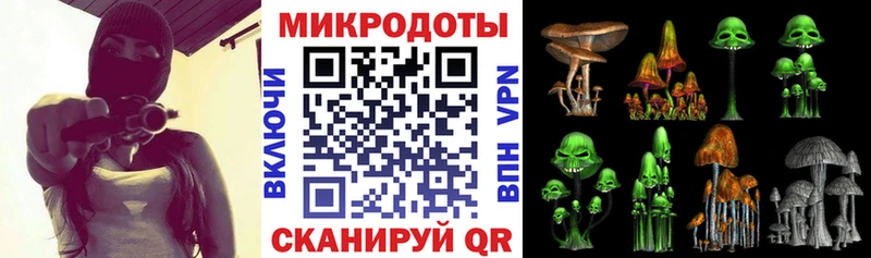 Псилоцибиновые грибы GOLDEN TEACHER  Лыткарино 